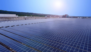 中美硅晶与haobotiyu-好博(中国)光电携手战略合作